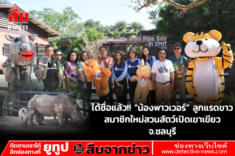 ได้ชื่อแล้ว!! “น้องพาวเวอร์” ลูกแรดขาว สมาชิกใหม่สวนสัตว์เปิดเขาเขียว จ.ชลบุรี