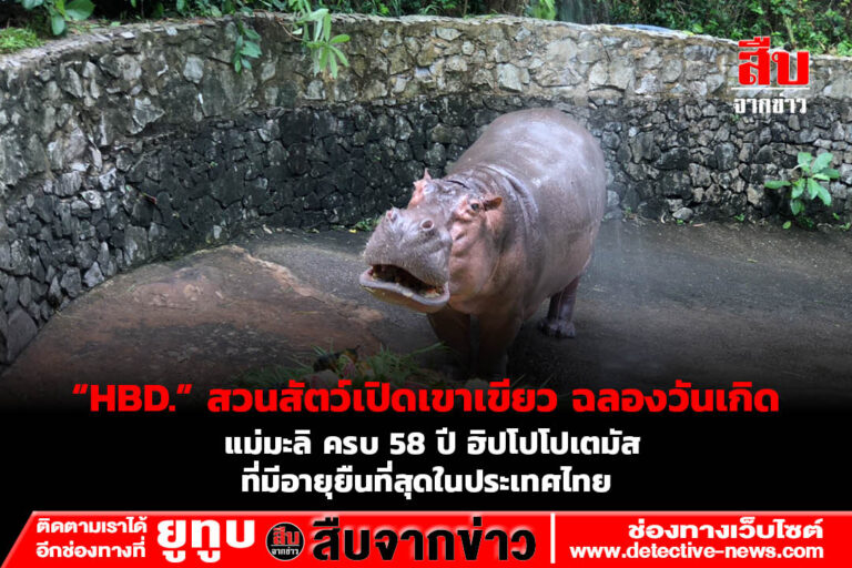 “HBD.” สวนสัตว์เปิดเขาเขียว ฉลองวันเกิด แม่มะลิ ครบ 58 ปี ฮิปโปโปเตมัส ที่มีอายุยืนที่สุดในประเทศไทย