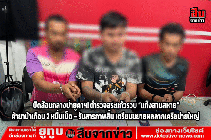 ปกข่าว