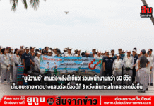 “ยูนิวานซ์” สานต่อพลังสีเขียว! รวมพนักงานกว่า 60 ชีวิต เก็บขยะชายหาดบางแสนต่อเนื่องปีที่ 3 หวังเห็นทะเลไทยสะอาดยั่งยืน