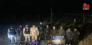 ปลัดอำเภอหว้านใหญ่บุกยึดไม้พะยูง 14 ท่อนริมโขง! มูลค่านับล้าน – สกัดทันควันก่อนลอบขนข้ามลาว