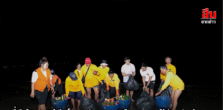 “พี่เบียร์” ลุยเอง! นำทีมเก็บขยะหลังลอยกระทง คืนความสะอาดให้พัทยาก่อนฟ้าสาง สร้างภาพลักษณ์เมืองท่องเที่ยวน่าอยู่ระดับโลก