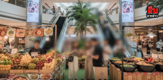 แฉห้างดังพัทยา–แผงลอยใช้แรงงานต่างด้าวเกลื่อน! เด็กเสิร์ฟ–ผู้จัดการร้านอื้อ แหกกฎหมาย “อาชีพสงวน” คนไทยถูกเบียดตกงาน