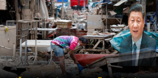 สีจิ้นผิงส่งสารถึงพระบาทสมเด็จพระเจ้าอยู่หัว แสดงความเสียใจกรณีน้ำท่วมรุนแรงในภาคใต้
