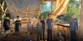 CIB บุกทลายโรงงานไม้เถื่อนกลางเมืองน่าน รวบ 3 ผู้ต้องหา เจ้าของอ้างอิทธิพลข่มขู่เจ้าหน้าที่