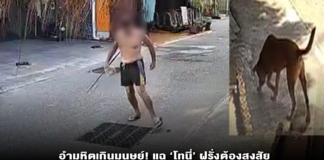 อำมหิตเกินมนุษย์! แฉ ‘โทนี่’ ฝรั่งต้องสงสัย วางยาเบื่อดับสุนัข 2 นกกว่า 30 ชีวิต! ชาวบ้านผวาภัยเงียบ ร้องบังคับใช้กฎหมายสัตว์เด็ดขาด