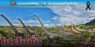 ส่งท้ายปีเก่าต้อนรับปีใหม่ 2569 สวนนงนุชพัทยามอบของขวัญสุดพิเศษ ชวนสัมผัสทะเลดอกไม้บานสะพรั่งทั่วทั้งสวน