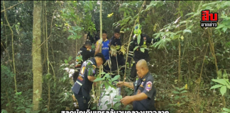 สลดนักเดินเทรลล้มวูบกลางเขาฉลาก ขณะที่เจ้าหน้าที่หน่วยกู้ภัยและทีมแพทย์ผู้ช่วยปั้มหัวใจให้ฟื้นคืนชีพ(CPR) แต่ไม่สามารถที่จะยื้อชีวิตไว้ได้