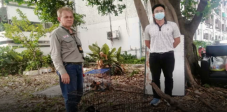 สมาคมพิทักษ์สัตว์ไทย รุดช่วย 7 ชีวิต แมวถูกขังในรถตู้ตากแดดนานนับเดือน ย่านจตุจักร