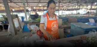 มุกดาหาร -แม่ค้าเซ็ง! เจอแบงก์ 100 ปลอมอาละวาดหนัก ว่อนตลาดมุกดาหาร แม่ค้าเฒ่าโชว์สูตรเด็ด “จุ่มน้ำสีละลาย” เตือนภัยร้านค้าอย่าชะล่าใจ