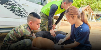 ผู้ว่าฯศรีสะเกษ เรียกประชุมด่วน! หลังพบสัตว์ติดโรคพิษสุนัขบ้าระบาดหนักใน 6 อำเภอ เตือน! ภัยร้ายใกล้ตัว แค่ถูกกัด ข่วน เลีย ก็เสี่ยงตาย แนะวิธีป้องกัน