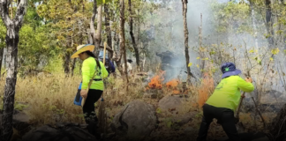 มุกดาหารไม่ทน! นักปกป้องสิทธิฯ แจ้งเหตุไฟไหม้ป่าสงวนดงบังอี่ 2 ครั้งซ้อนในรอบเดือน แฉพิรุธ “ไฟสั่งได้”