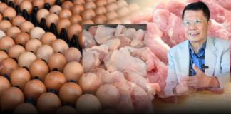 แกะรอย 3 เมนูคู่ครัวไทย “หมู-ไก่-ไข่” พาณิชย์จับตา “โครงสร้างตลาด” ใครคุมอำนาจเหนือตลาดตัวจริง?