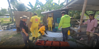 เพื่อนไม่รู้ ตะโกนแซว เมาขนาดยืนหลับเลยเหรอ ที่แท้ หนุ่มเลี้ยงควายผูกคอดับ