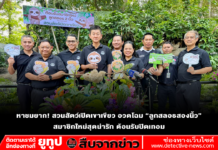 หาชมยาก! สวนสัตว์เปิดเขาเขียว อวดโฉม”ลูกสลอธสองนิ้ว”สมาชิกใหม่สุดน่ารัก ต้อนรับปิดเทอม