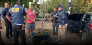 ปทส. สกัดจับขบวนการค้าสัตว์ป่า รวบคาสี่แยก ยึด “ลิงแสม” 37 ชีวิต ซุกรถเก๋งเตรียมส่งออก