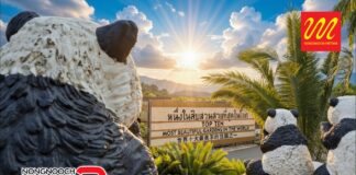 สวนนงนุชพัทยา เปิดเวทีประกวดภาพถ่าย “Nongnooch Photo Contest 2026” ครั้งที่ 4