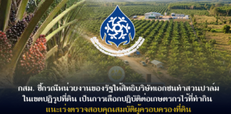 กสม.ชี้กรณีหน่วยงานของรัฐให้สิทธิบริษัทเอกชนทำสวนปาล์มในเขตปฏิรูปที่ดินเป็นการเลือกปฏิบัติต่อเกษตรกรไร้ที่ทำกิน แนะเร่งตรวจสอบคุณสมบัติผู้ครอบครองที่ดิน