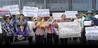 ชาวนาน้ำตาตก ร้อง “บิ๊กเต่า” จี้คดีโรงสีเบี้ยวเงินค่าข้าว 42 ล้าน แฉเจ้าของโรงสีใช้ชีวิตหรูแต่ชาวนาหนี้ท่วม