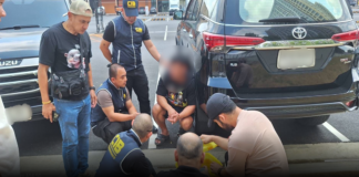 ตำรวจสอบสวนกลาง (CIB) จับกุมผู้ต้องหา 2 ราย ลักลอบค้าค่างแว่นสัตว์ป่าคุ้มครอง