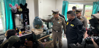 รวบ 2 ผัวเมียสุดแสบลักเอากิ้งก่า “น้องมาร์ช” ลิงกระรอก ไปแลกยา