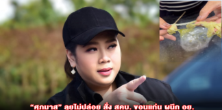 “ศุภมาส” ลุยไม่ปล่อย สั่ง สคบ. ขอนแก่น ผนึก อย. ลงตรวจ “เกี๊ยวทิชชู” คุมเข้มความปลอดภัยอาหาร เปิดสิทธิเยียวยาทางแพ่งเต็มที่
