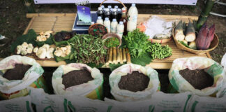 24 พฤษภาคม วันป่าชุมชนแห่งชาติ “Community Forest Besed Wellness: ป่าชุมชน สร้างสุข สร้างรายได้ สร้างอนาคต”