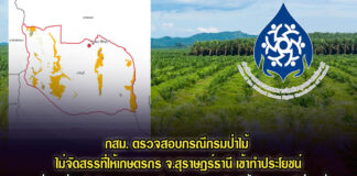 กสม.ตรวจสอบกรณีกรมป่าไม้ ไม่จัดสรรให้เกษตรกร จ.สุราษฎร์ธานี เข้าทำประโยชน์ พบอยู่ระหว่างดำเนินการ เสนอกำหนดแนวเขตโดยให้ประชาชนมีส่วนร่วม