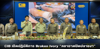 CIB เปิดปฏิบัติการ Broken Ivory “คชาฆาตปิดปลายงา” ทลายเครือข่ายค้างาช้างแอฟริกาข้ามชาติ บุก 7 จังหวัด ยึดของกลางเกือบ 10 ล้าน