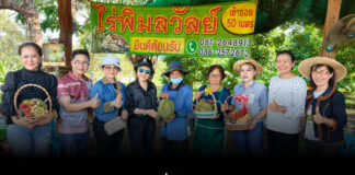 “ศรีสะเกษ” ดร.กัลยาณี ชวนเที่ยวไร่พิมลวัลย์ “สวนทุเรียนภูเขาไฟ” ปลอดสารพิษ-ไร้สารเคมี ส่งเสริมการท่องเที่ยว-สร้างเศรษฐกิจสู่ชุมชน
