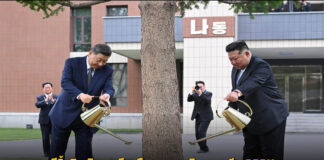 สีจิ้นผิง-คิมจองอึน เยือนหอคอยมิตรภาพจีน-DPRK โรงเรียนพรรคฯ ปลูกต้นไม้ร่วมกัน