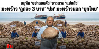 อนุทิน “อย่าลอยตัว” ชาวสวน “แย่แล้ว” “มะพร้าว” ลูกละ “3บาท” “ปม” มาพร้าวนอก “บุกไทย”